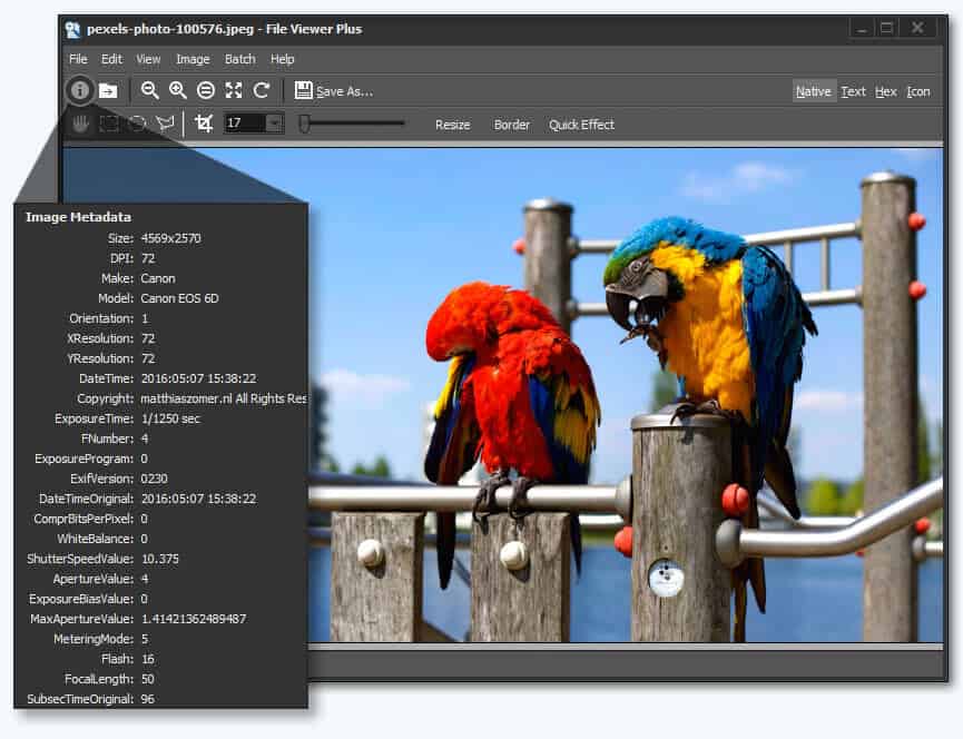 vista abierta, edite y convierta archivos TGA con Fileviewer Plus 2