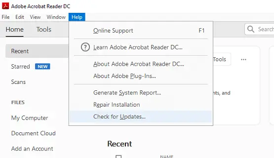 Buscar opción de actualizaciones Adobe Reader Error 110