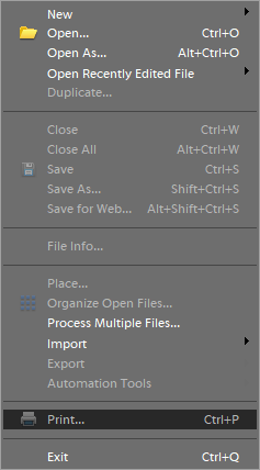 Menú Archivo Adobe Photoshop no pudo imprimir debido a un "error de programa"