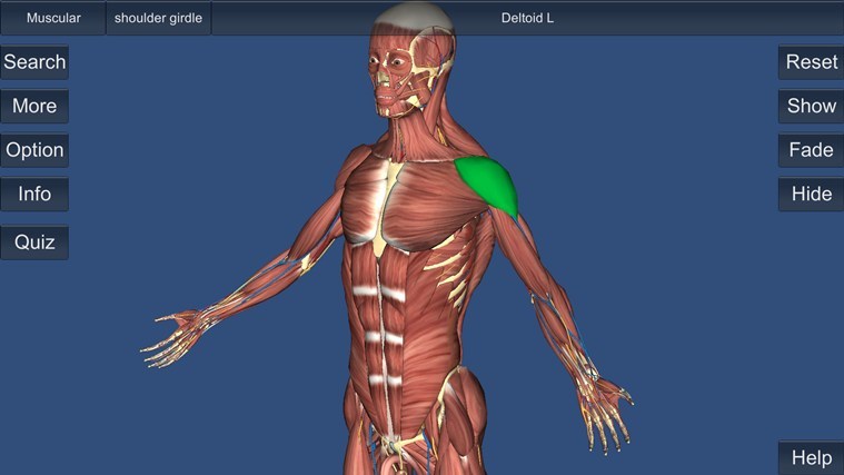 aplicación de anatomía windows 8