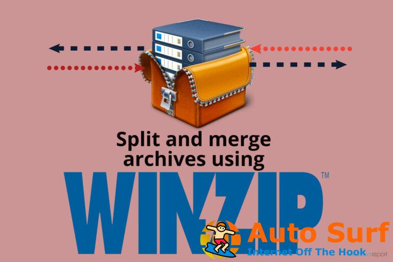 REVISIÓN: El archivo Zip de Dropbox es demasiado grande para descargarlo