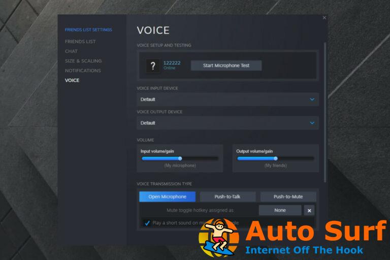 El chat de voz de Steam no funciona [Troubleshooting Guide]