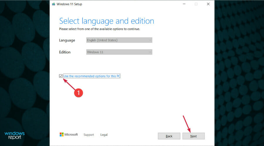 ¿La barra de tareas de Windows 11 está vacía? Aquí se explica cómo solucionarlo.