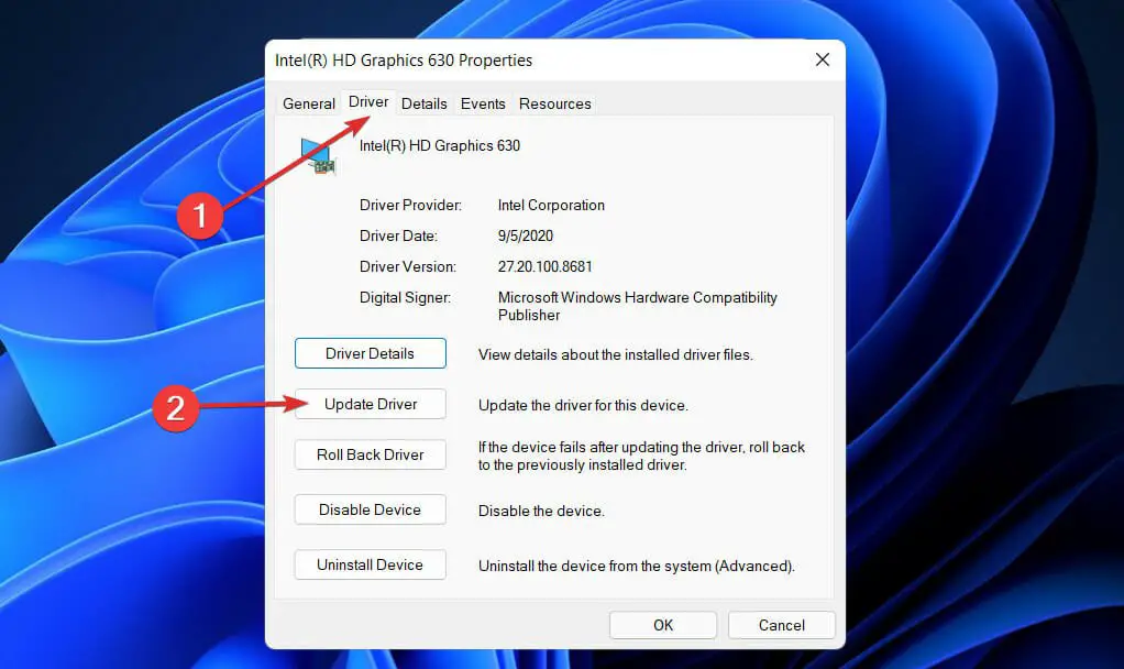 actualizar el adaptador de la tarjeta de visualización Windows 11 no puede cambiar la resolución