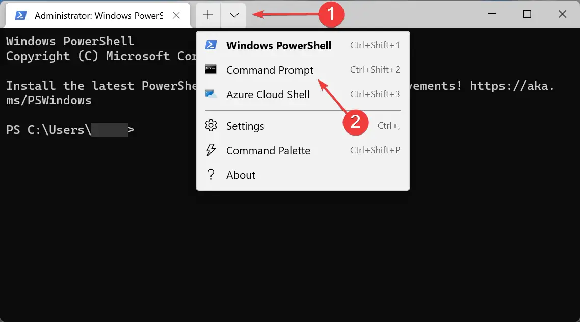 Abra el símbolo del sistema para Windows 11 agregue una dirección IP secundaria