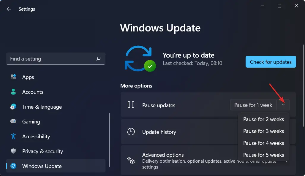pausa-actualiza el error de Windows 11 después de la actualización