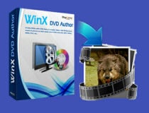 Autor de DVD de WinX
