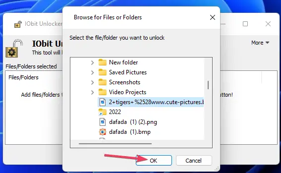 Buscar ventana de archivos desbloquear ventanas de archivos