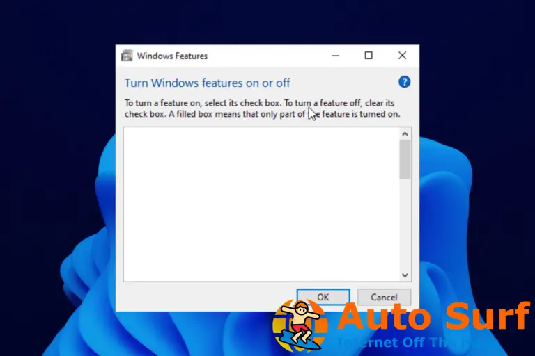 Funciones opcionales de Windows 11 Vacío: ¿Qué hacer?
