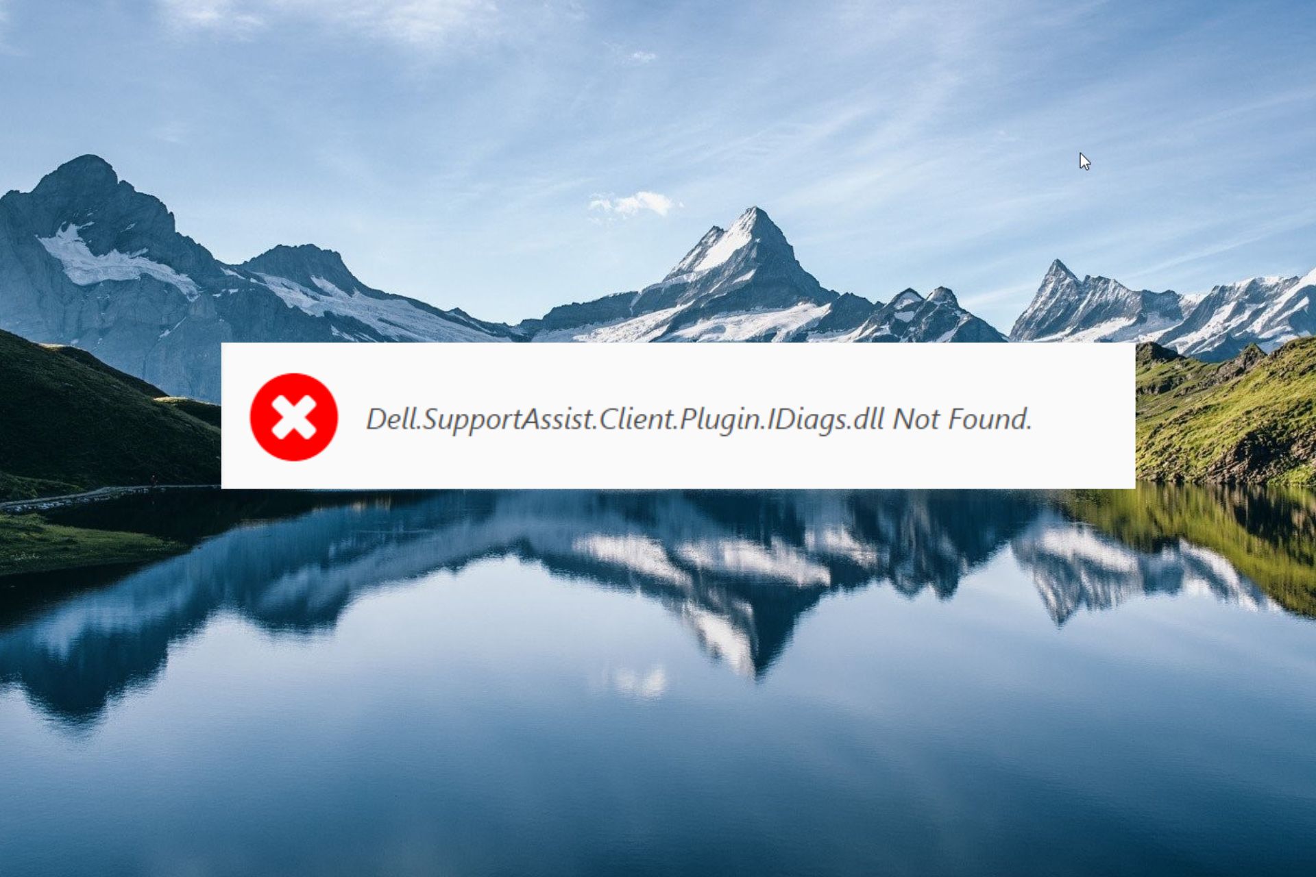 Dell.SupportAssist.Client.Plugin.IDiags.dll