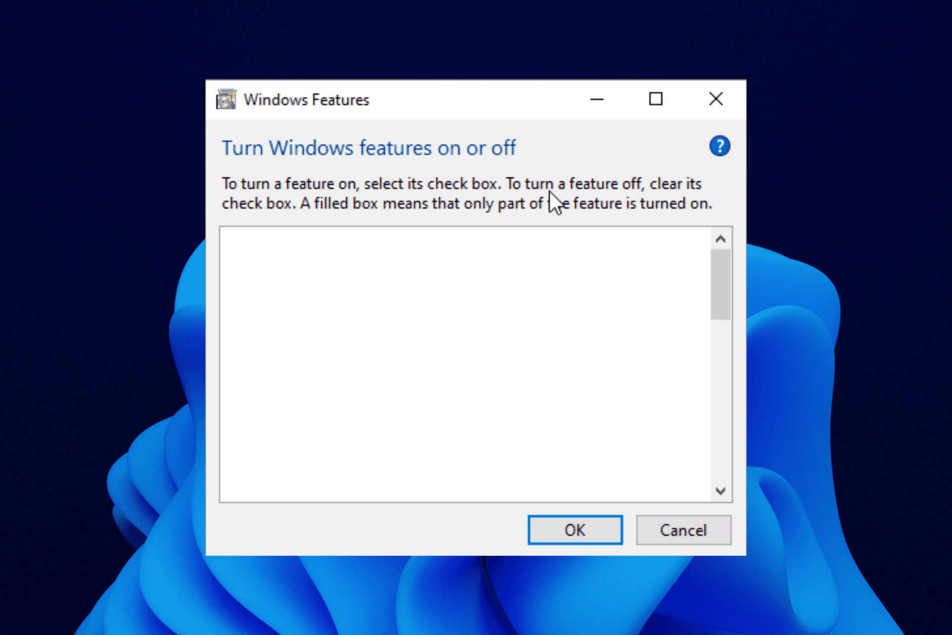 características opcionales de Windows 11 vacío