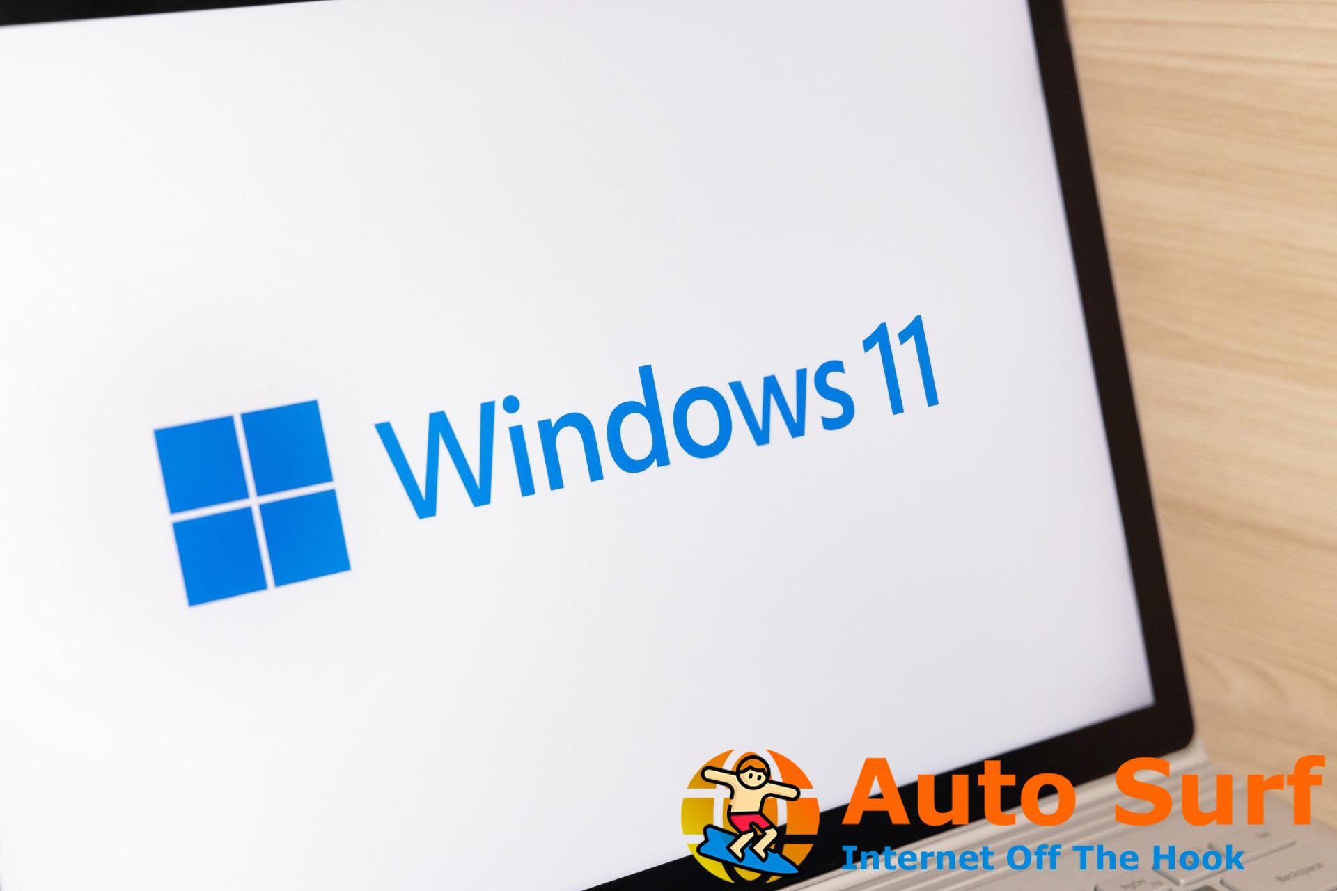 Información de servicios de Windows 11