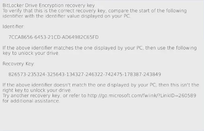 REVISIÓN: Error al desbloquear con esta clave de recuperación Error de BitLocker