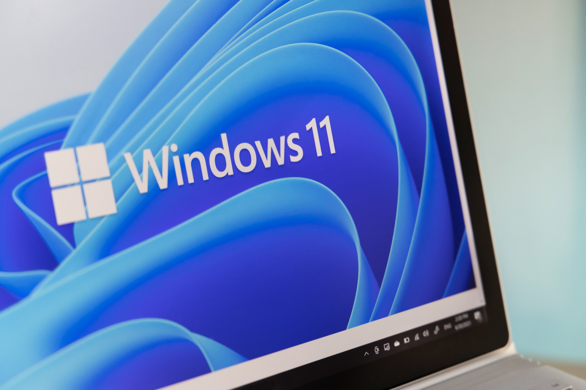 software de relleno de Windows 11
